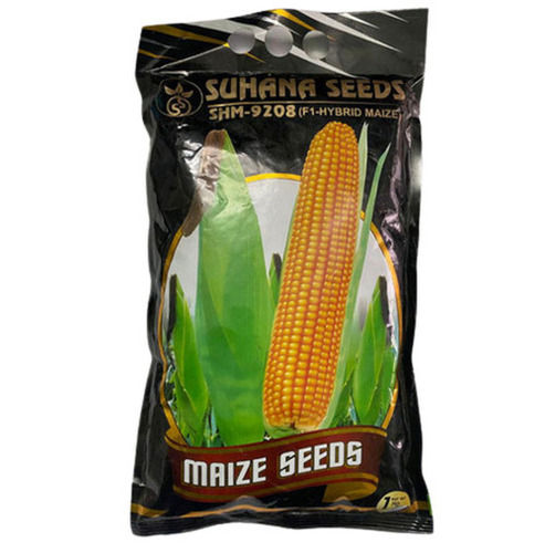 1 Kilogram, Commonly Cultivated Agricultural Shm-9208 F1 Hybrid Maize Seeds