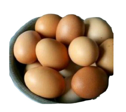  30 से 35 ग्राम वजन के उच्च पौष्टिक मूल्य के ताजे कड़कनाथ अंडे
