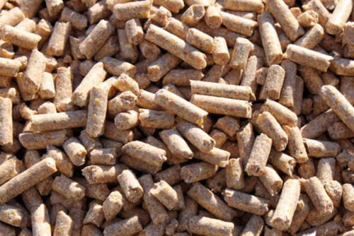 Pure And Dried A Grade Protein Rich Pellets Cattle Feed 
