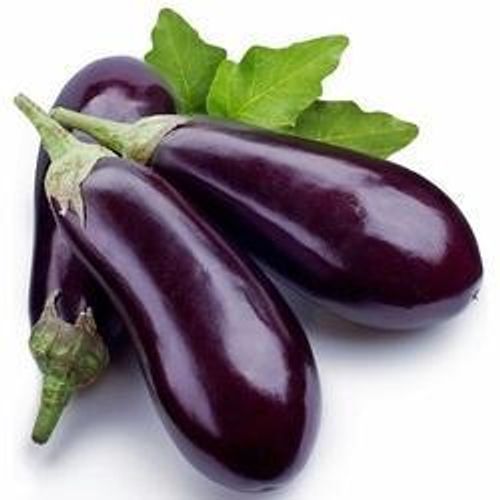 Fresh Raw Processed 92.7% Moisture Contained Violet Oval-Shaped Brinjal, 1 Kg