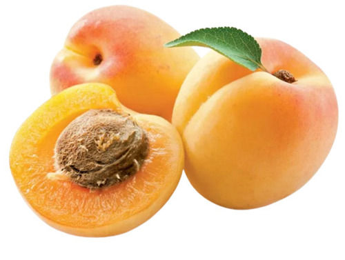 A Grade Commonly Cultivated Whole Sweet Apricot Fruit