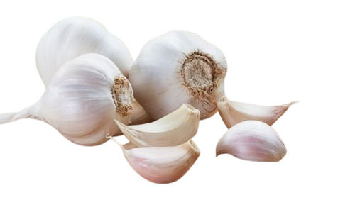 Whole And Fresh No Added Preservatives Raw Garlic For Cooking