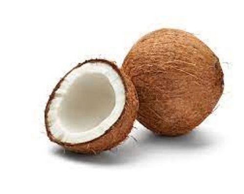 Brown Round Shape Full Husked Healthy Fresh Coconut