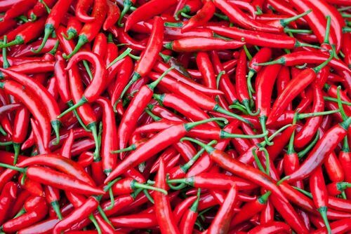 Raw Spicy Taste Enact Aroma Hot Red Whole Organic Dried Chili Peppers