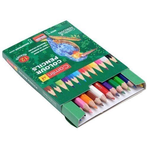 Break-Resistant Increased Grip Triangular Shades Camlin Colour Pencils