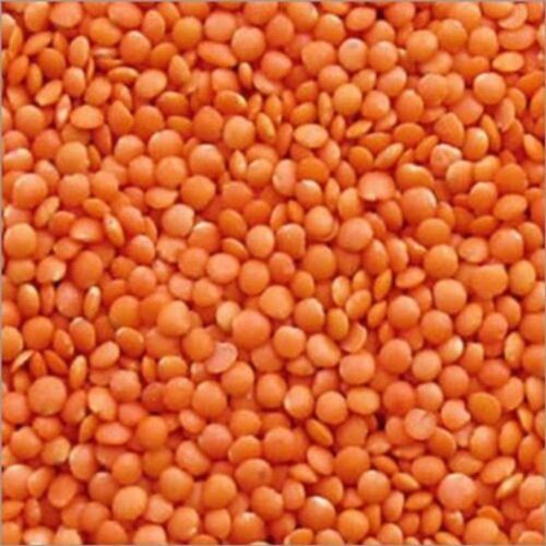 High Fiber Medium And Round Shape Nutritious Common Splited Masoor Dal (Lentils) 