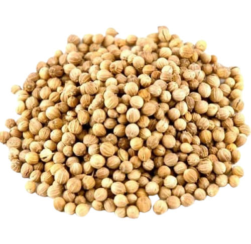 Commonly Cultivated Pure And Natural Raw Sunlight Dried Coriander Seed