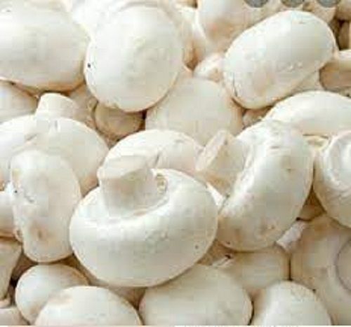 Maharashtra White Fresh And Organic Button Mushrooms Packaging Type: Box