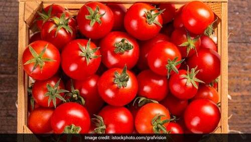 Healthy Rich In Vitamins Juicy Nutritious And Easy To Digest Red Tomatoes