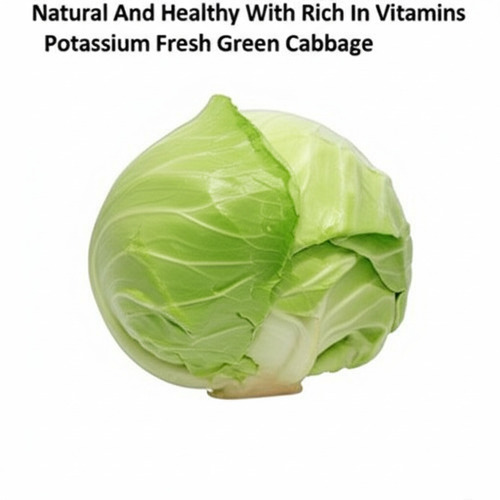 Natural And Healthy With Rich In Vitamins Potassium Fresh Green Cabbage - Moisture (%): 2%