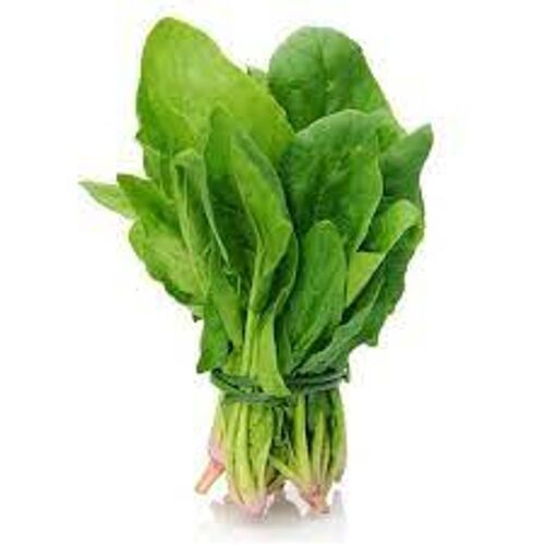 Green Leafy Vegetables That Are Succulent And Spoon-Shaped Fresh Spinach/Palak Moisture (%): 9.89%