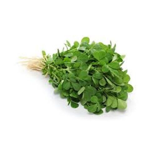 100% Natural Distinct Flavor Fresh Healthful Vegetable Green Fresh Fenugreek 