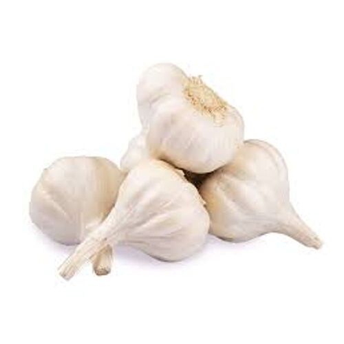 Mild Flavour Strong Pungent Aroma Flavorful Fragrant Vegetable Fresh Garlic