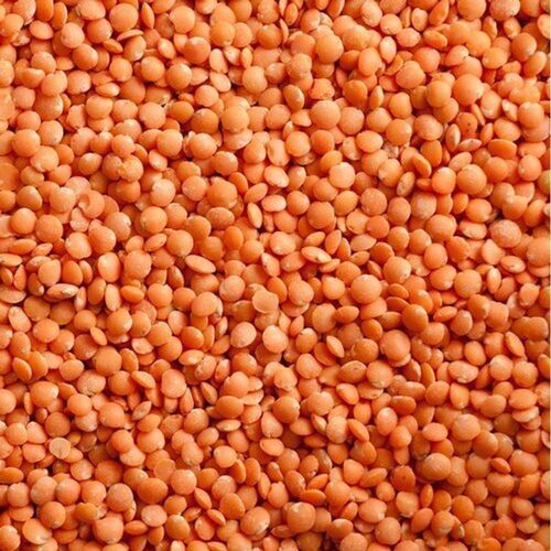 Healthy And Energetic Natural Foods Red Split Masoor Lentils Origin: India