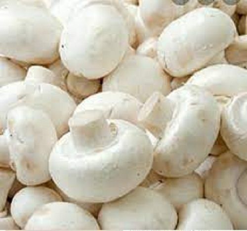 High In Protein Fresh White Button Mushroom, 2 Inch