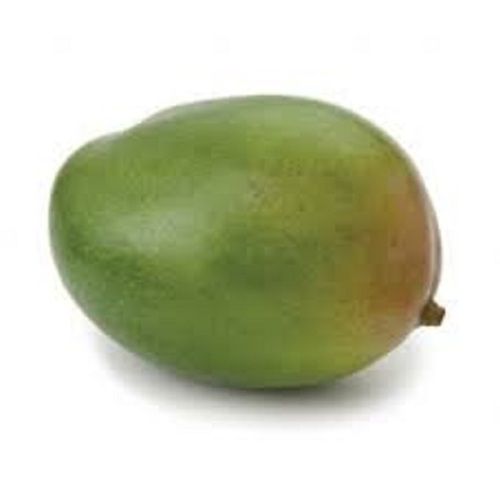 Indian Origin Common Cultivation Medium Size Sour Taste Green Mango