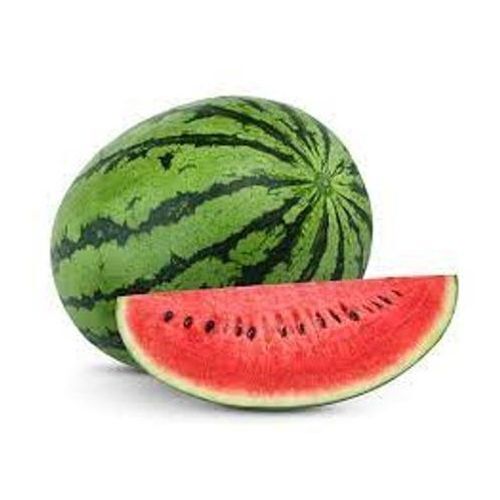 Delicious Taste Oval Fresh Sweet Watermelon