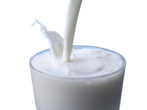 Hygienically Packed Nutrients Rich Farm Fresh Cow Milk
