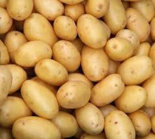 Compound Preserved Random Shape Raw Hygienically Packed Fresh Potatoes, 1 Kg 