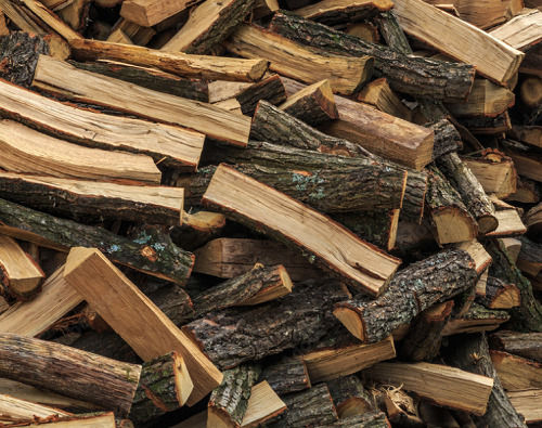 2 Feet Industrial Grade Aromatic And Moisture Free Oak Tree Firewood 
