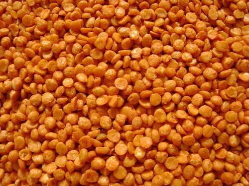  Freshly Nutritious Crispy And Crunchy Delicious Tasty Chana Dal Namkeen  Processing Type: Fryied