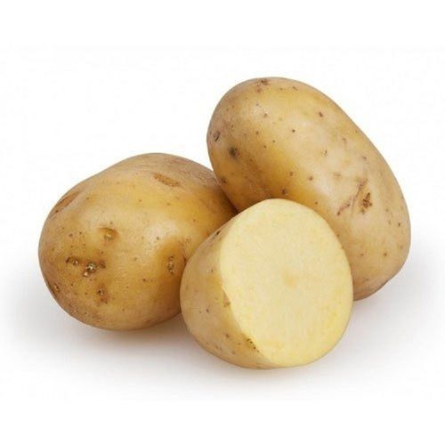 Naturally Grown Healthy Farm Fresh Vitamins Rich Brown Oval Shape Fresh Potato