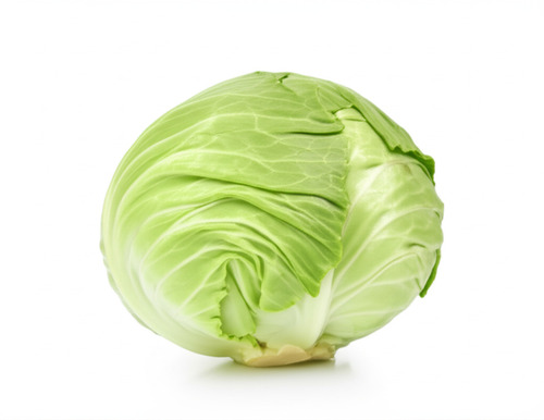 Healthy Natural Excellent Source Of Vitamins And Folate Organic Green Fresh Cabbage - Raw, 2 Week Shelf Life, Crisp Leafy Texture for Salads and Cooked Dishes