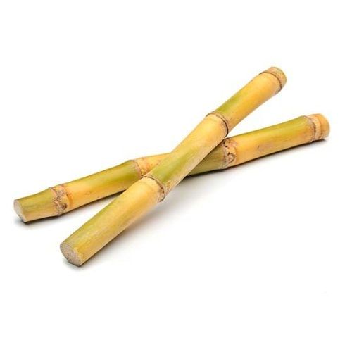98% Natural No Artificial Flavor Healthy And Fresh Sweet Long Sugarcane For Raw Products
