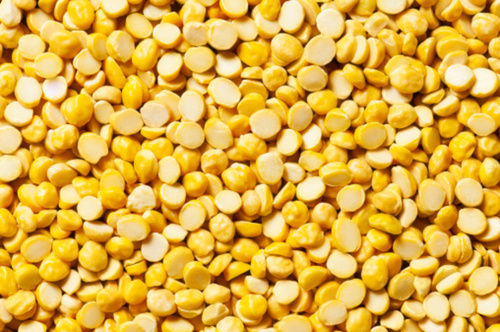 Commonly Cultivated Short Grain Splited Organic Round Yellow Chana Dal 
