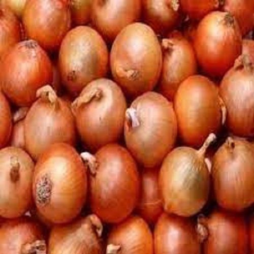 Highly Nutritious Rich Source Of Vitamins Chemical Free Fresh And Natural Onion