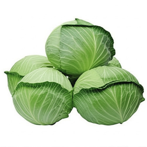 25 किलोग्राम ताजा और प्राकृतिक गोल आकार की हल्की हरी गोभी का पैक