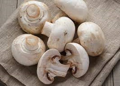 Rich In Vitamins Fiber Highly Nutritious Healthy Pesticides Free Fresh Tasty Mushrooms 