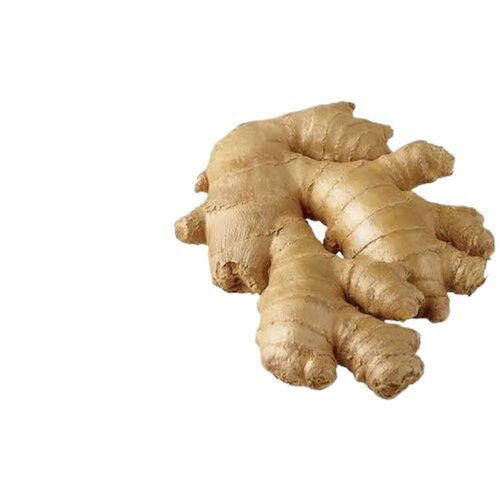 स्वस्थ प्राकृतिक और मसालेदार चुभने वाला स्वाद और स्वाद बढ़ाने वाला फार्म ताजा अदरक