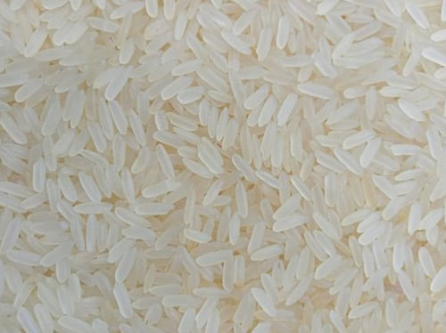 1 Kg Dried Common Cultivated White Short Grain Ratna Rice