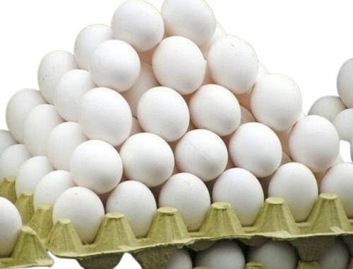  सफेद प्रोटीन ताजा अंडा स्वास्थ्य के लिए अच्छा है 