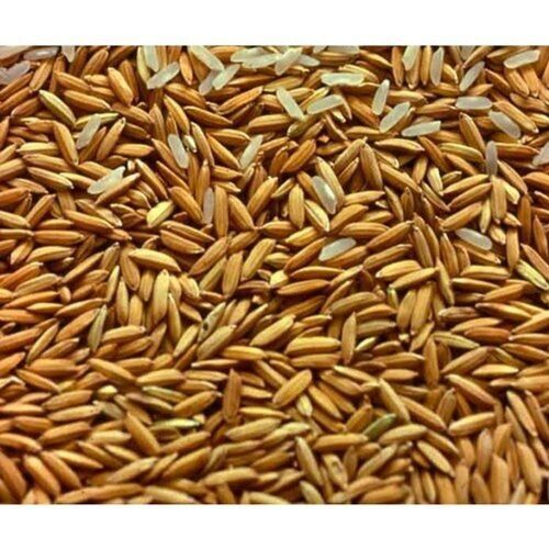 High In Protein Raw Husked Paddy Rice Admixture (%): 5%