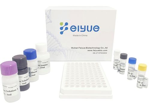 Human Il-6 (Interleukin 6) Elisa Kit