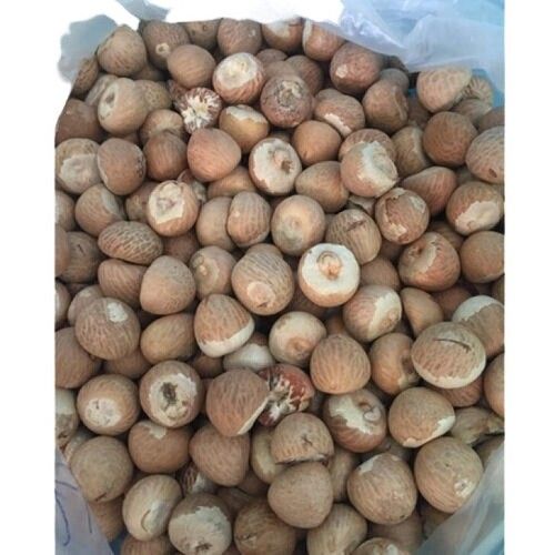 Brown A Grade Betel Nuts