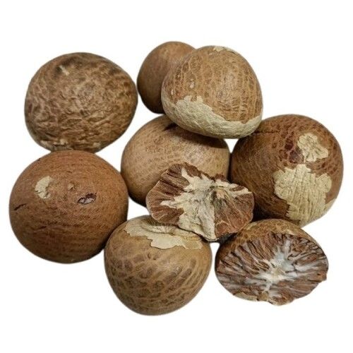 Fresh Natural Solid Brown Dried Betel Nuts