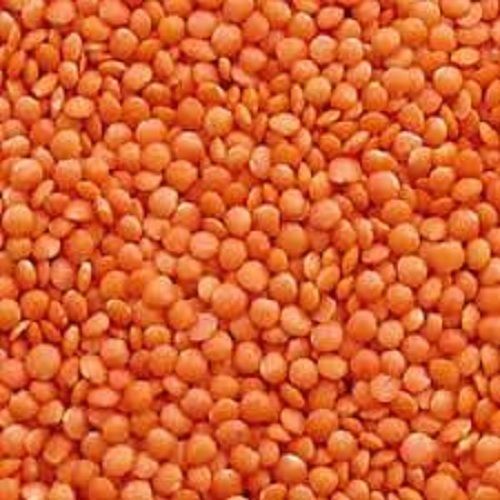 100 Percent Pure And Organic Masoor Dal, Rich In Dietary Fiber Proteins Moisture (%): 10%