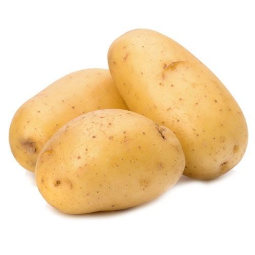 Healthy Naturally Grown Oval Shape Pure Vitamins Rich Fresh Potato