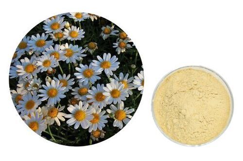 Chamomile Extract For Making Herbal Health Products