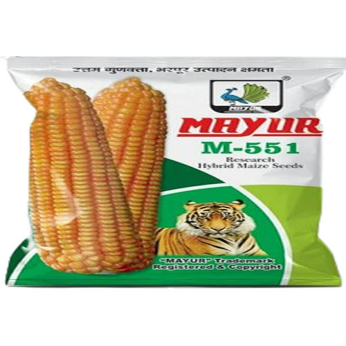 Mayur M-551 Natural And Organic Hybrid Yellow Corn Seeds