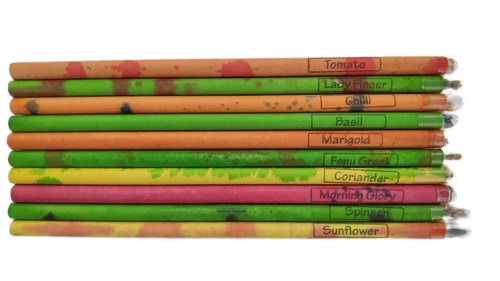 Sliver Eco Friendly Extra Dark Comfortable Grip And Smooth Writing Wood Plantable Pencil