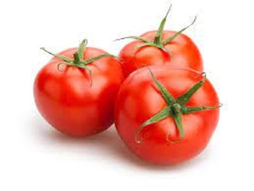 Good For Health Pesticide Free Natural Fresh Commonly Cultivated Round Raw Tomatoes