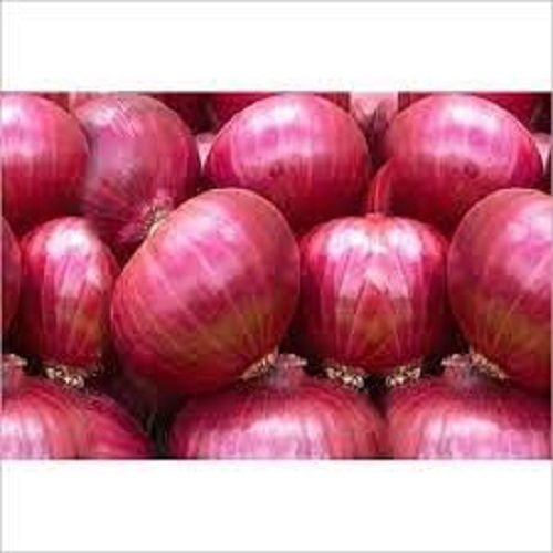 Hygienically Processed Good Source Of Vitamins And Nutrition Fresh Onion 