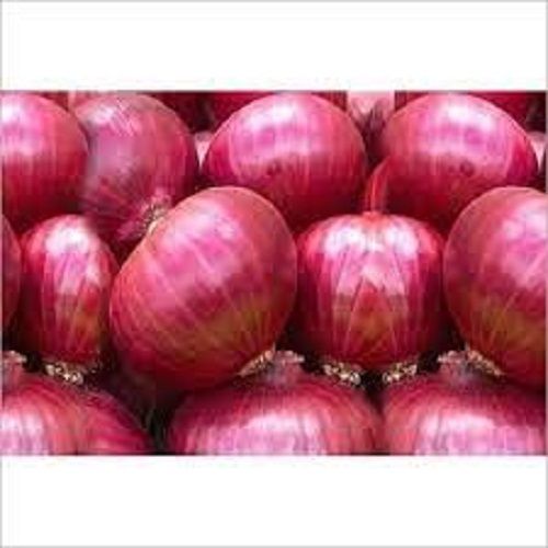 Round Hygienically Processed Good Source Of Vitamins And Nutrition Fresh Onion 