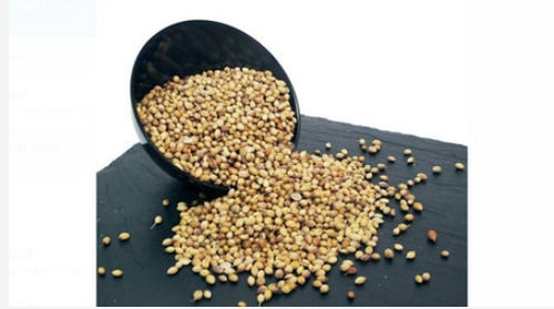 Pack Of 1 Kilogram Pure And Natural Dried Green Coriander Seeds 