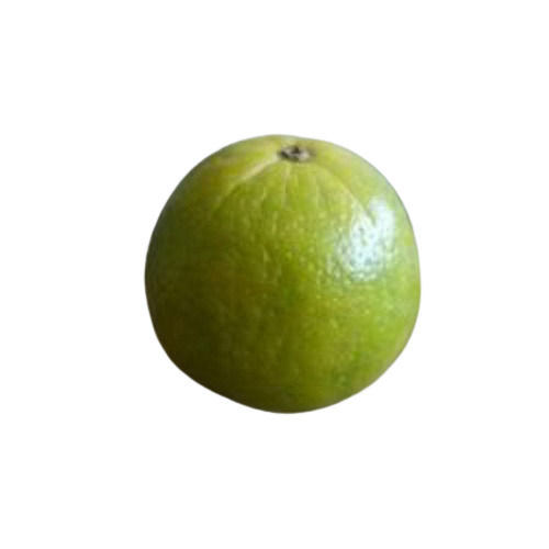 Organic Excellent Source Of Calcium And Potassium Green Sweet Lemon