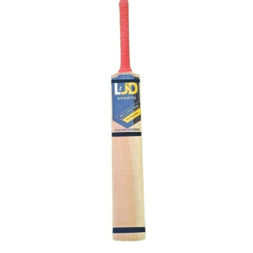 Kashmir Willow Cricket Bat